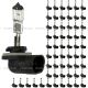 60 Pieces Pack - 896 Halogen Bulb White Light （Fit: Car Bus Truck Tractor Loader RTV UTV ) 