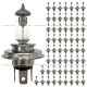 60 Pieces Pack - H4 Halogen Bulb White Light （Fit: Car Bus Truck Tractor Loader RTV UTV ) 