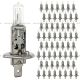 60 Pcs H1 Halogen Bulb White Light With 60 Pcs 2 Wire Plug 2 Pin Female Universal H1 Connector Pigtail Wire Harness (Fit: Car Bus Truck Tractor Loader RTV UTV Headlight) 